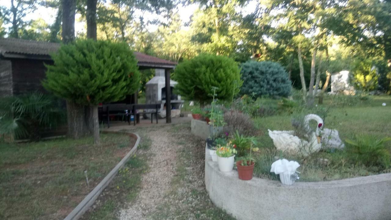 פורץ Apartment Andjel מראה חיצוני תמונה